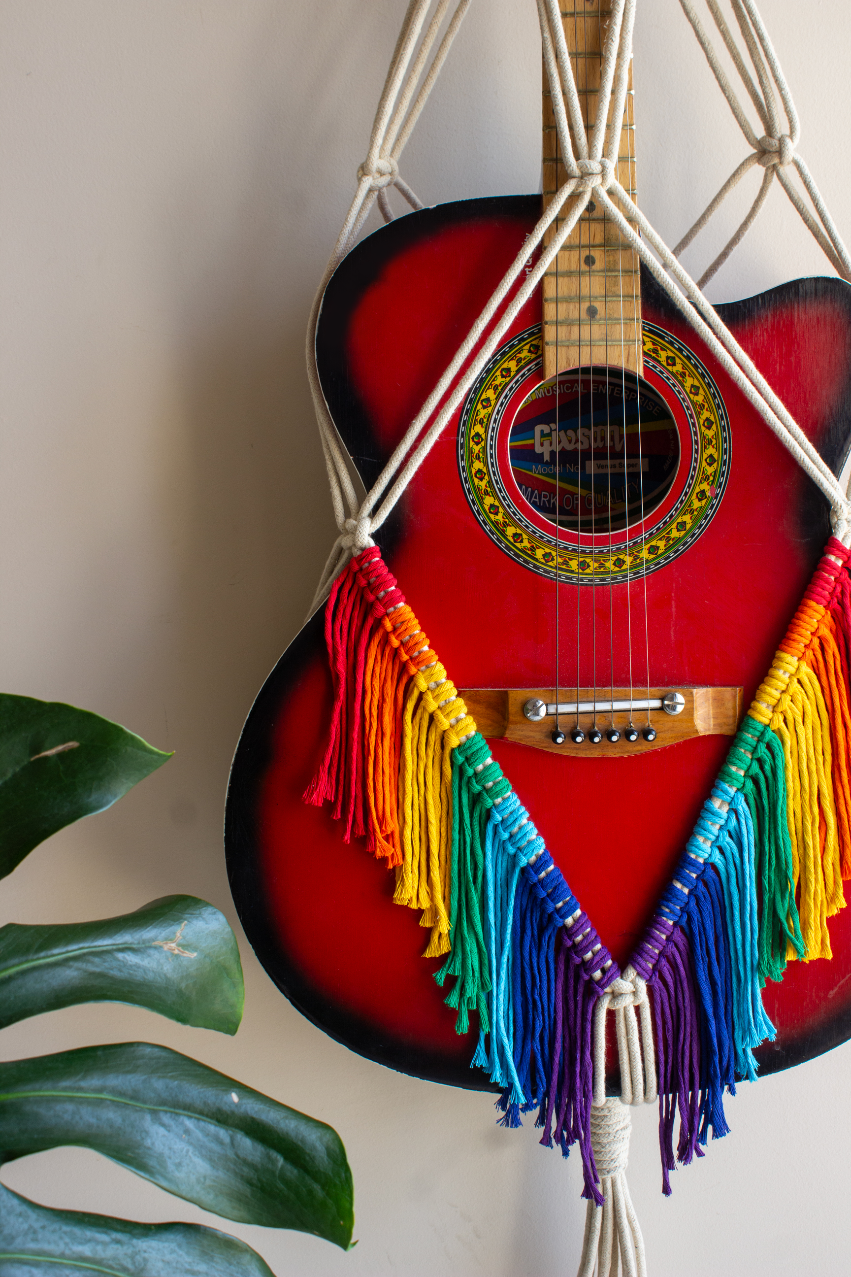 Acoustic Guitar Hangers